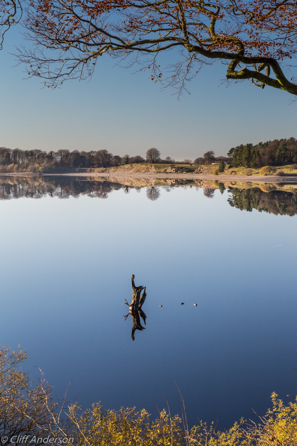 giant-mirror-blessington-lake-on-sunny-cold-still-winter-day-from-tulfarris-rs-7783