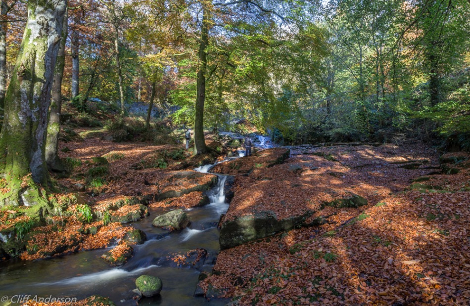 photogrraphers-at-shankill-river-through-sunny-autumn-leaves-cloghleagh-bridge-manor-kilbride-s-7729